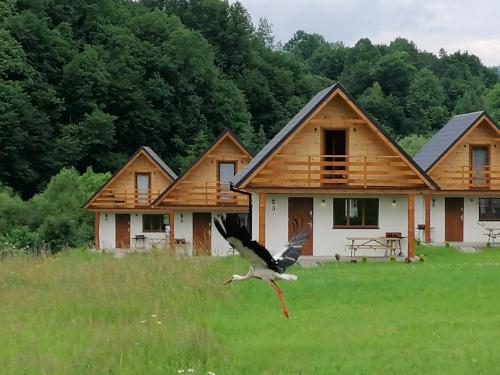 Фотография гостевого дома Osada Solina