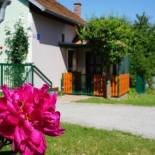 Фотография гостевого дома Holiday Home Mađerka