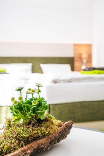 Фотография гостиницы Hotel-Pension Treppengasse Nr 6