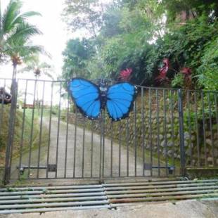 Фотографии гостевого дома 
            Villa Mariposa Azul