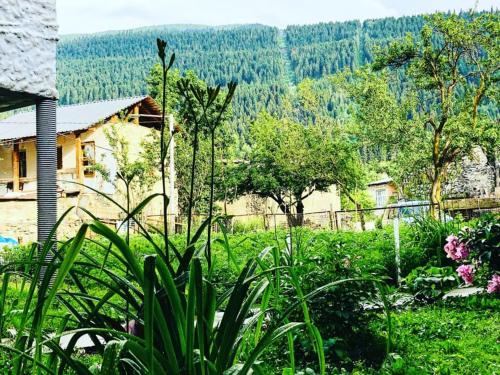 Фотография гостиницы Maria Hotel