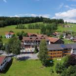 Фотография гостиницы Hotel der Bäume