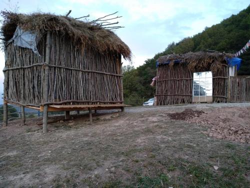 Фотография базы отдыха Дубовая роща