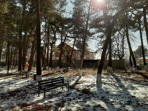Фотографии гостевого дома
kojori house