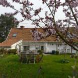 Фотография гостевого дома La Quitapenas