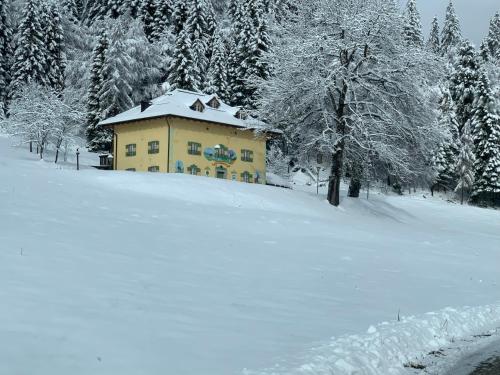 Фотографии апарт отеля 
            Chalet Musiera