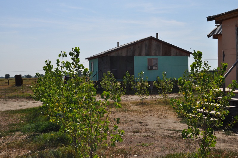 Фотография базы отдыха Ахтуба-Клуб