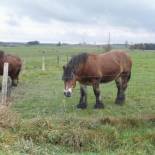 Фотография гостевого дома Gîte Les Framboisiers