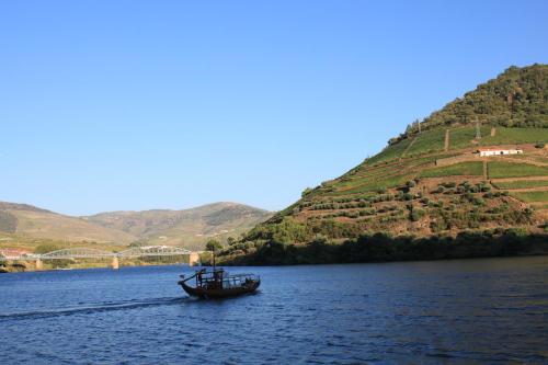 Фотография хостела Hostel Douro Backpackers