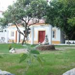 Фотография хостела Olive3 Ericeira Hostel