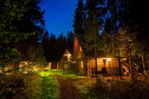 Фотография гостевого дома Viikingite küla