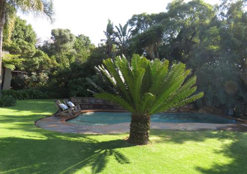 Фотография гостевого дома Green Pascua