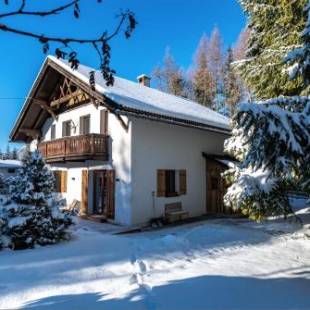 Фотографии гостевого дома 
            Schneehaus Lodge