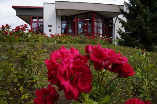 Фотография гостиницы Rosen-Hotel