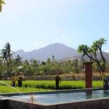 Фотография базы отдыха Umma Bali Menjangan Retreat