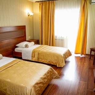 Фотография номера гостиницы Янтарь