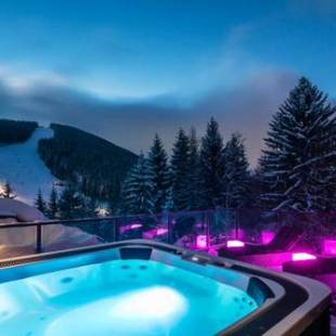 Фотографии гостиницы 
            Pytloun Wellness Hotel Harrachov