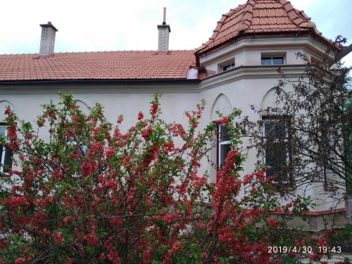 Фотография апарт отеля Aparthotel Brokeš