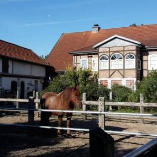 Фотографии гостевого дома 
            Ferienhof Hanum