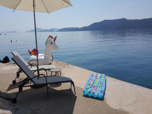 Фотография гостевого дома Holiday Home Odiseja