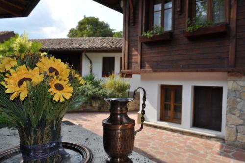 Фотография гостиницы Hotel Izvora