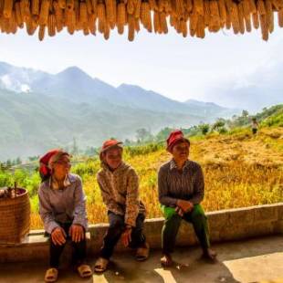 Фотографии мини отеля 
            The Little Hmong House