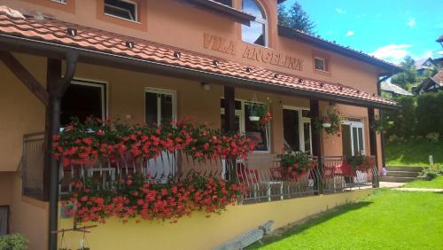 Фотография гостевого дома Vila Angelina