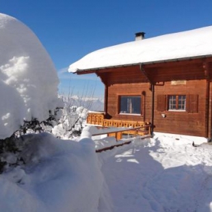 Фотография гостевого дома Chalet Zan-Fleuron