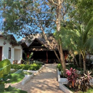 Фотография гостиницы Babalao Bungalows