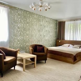 Фотография номера гостиницы Авеню