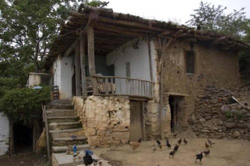 Фотография гостиницы Buta