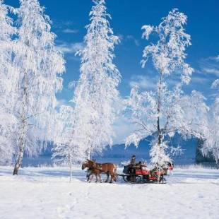 Фотографии гостевого дома 
            Pensiunea Bella Vita