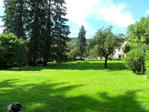 Фотография мини отеля A la Grenouille du Jura