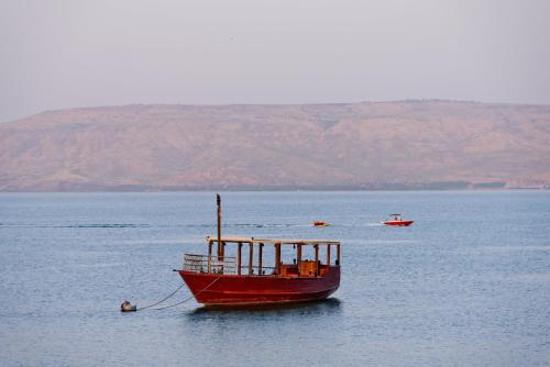 Фотография гостиницы Kinneret Lodging