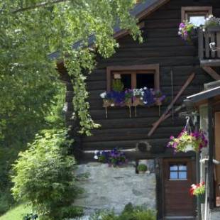 Фотографии гостевого дома 
            "CHALET dei FIORI" b&b