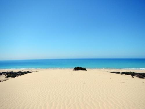 Фотография гостевого дома St. Nicholas Pension