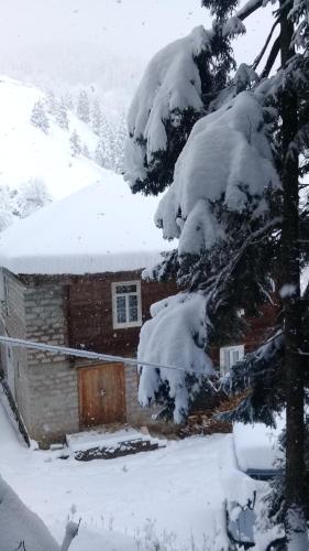 Фотография гостевого дома Farvana