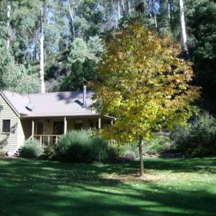 Фотографии гостевого дома 
            shady brook cottages