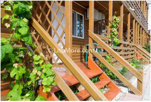 Фотография гостиницы Бриз