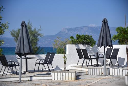 Фотография гостевого дома Family apartments 1