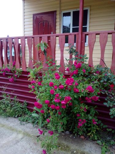 Фотография гостевого дома У моря