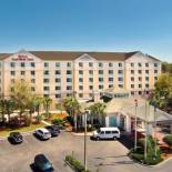 Фотография гостиницы Hilton Garden Inn Tampa North