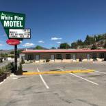 Фотография мотеля White Pine Motel