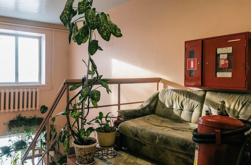 Фотография хостела ЭкоСтройСервис