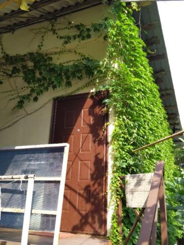 Фотография гостевого дома У Костиных