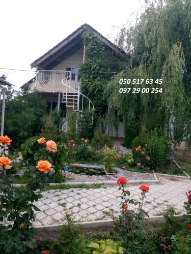 Фотография мини отеля Отдых у моря