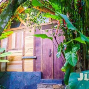 Фотография мини отеля Pousada Jungle Bali