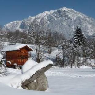 Фотографии гостевого дома 
            Chamonix petit chalet Cocooning