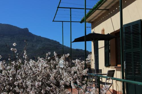 Фотография гостевого дома Villa Ideal