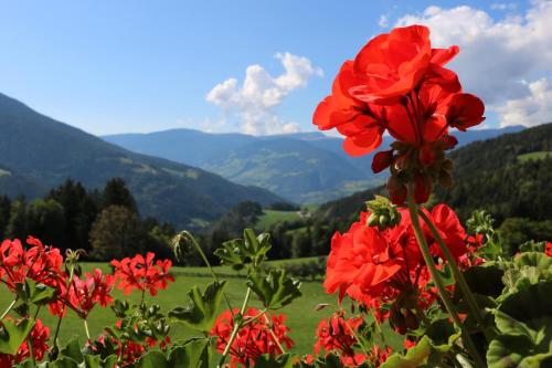 Фотография базы отдыха Gasleidhof